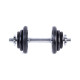 Spokey Egir dumbbells set 2 x 10 kg